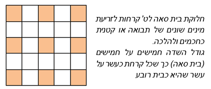 Book image 8