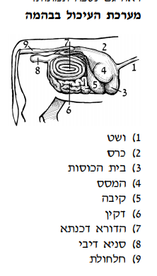 Book image 1